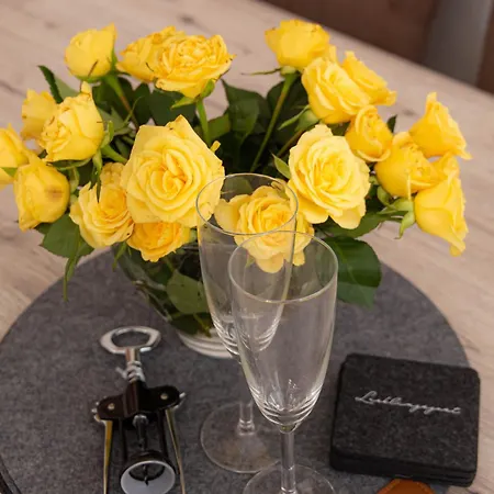 Appartamento Life Zentrum Zwickau